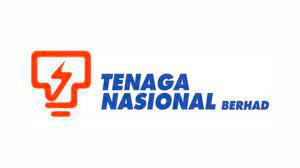 TNB divests investment in Indian power company