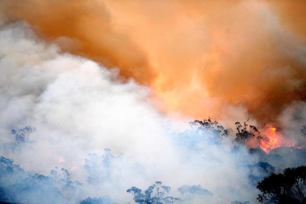 Smoke and flames from a back burn, conducted to secure residential areas from encroaching bushfires, are seen at the Spencer area in Central Coast, some 90-110km north of Sydney on Dec 9. — AFP