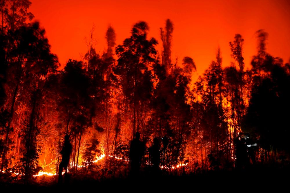 People fight a fire in Puren, Araucania region, Chile on February 4, 2023/AFPPix