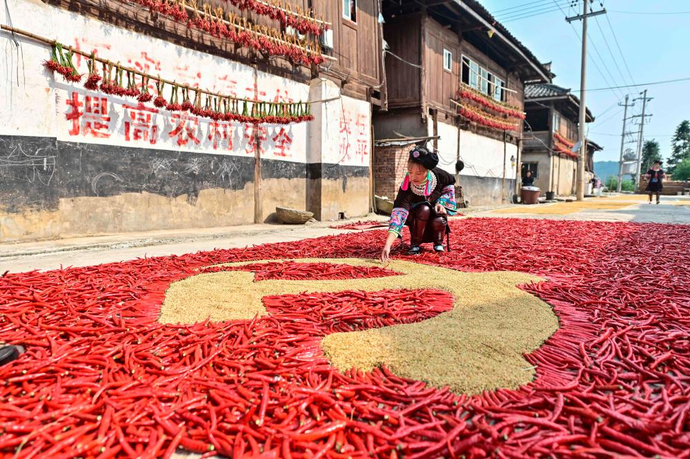 This photo taken on September 12, 2021 shows a farmer creating a flag of the Chinese Communist Party with corns and red peppers as farmers dry their harvested products in Congjiang in China’s southwestern Guizhou province. AFPpix