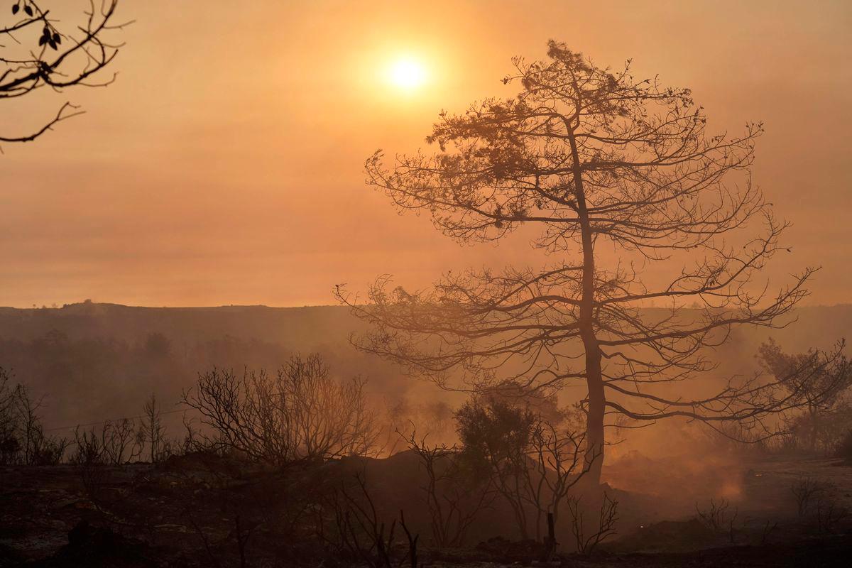 Smoke fills the air as firefighters battle a forest fire in the Cypriot village of Souni, in the Limassol province, on July 24, 2025. (Photo by Etienne TORBEY / AFP)