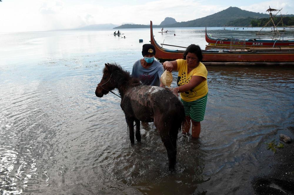 Residents living at the foot of Taal volcano wash their volcanic ash-covered horses after rescuing them from their homes and transporting them to Balete town, Batangas province south of Manila on Jan 14. — AFP