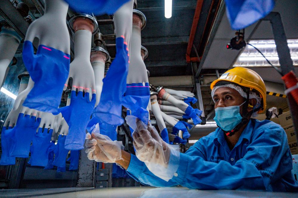 File photo of a worker inspecting disposable gloves at a Top Glove factory in Shah Alam. – AFPPIX