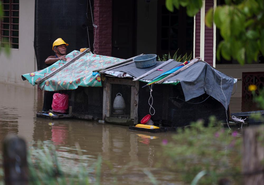 Penduduk setempat, Cari Luman, 63, membetulkan bahagian bumbung reban terapung yang dibina khas untuk haiwan ternakannya supaya tidak terjejas akibat banjir yang berlaku di Kampung Delong hari ini. - fotoBERNAMA