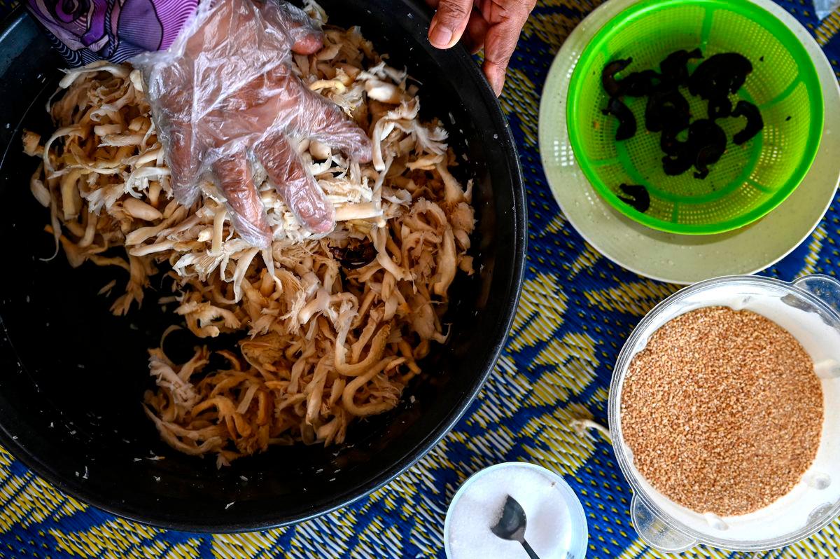 Bernamapix