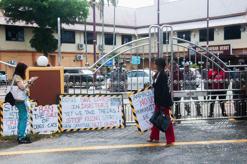 A rally demanding answers from the Besut District Council (MDB) over the recent shooting of a stray dog named Kopi saw a surprisingly low turnout, with only two women from Kuala Lumpur, led by animal rights advocate Sue Ann Kong (right), present. - BERNAMAPIX