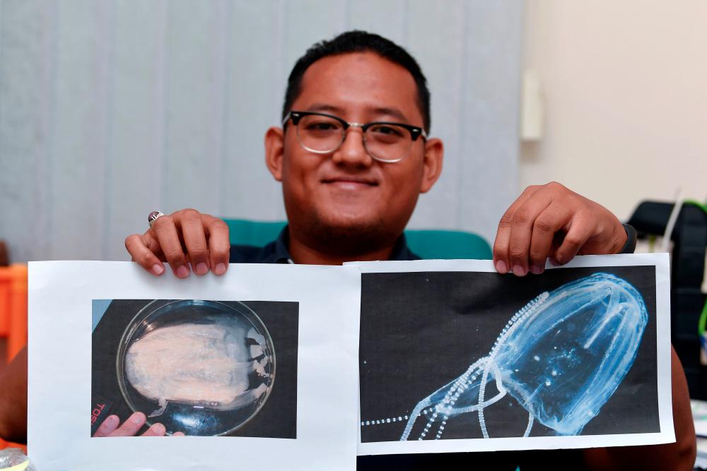 Universiti Malaysia Terengganu (UMT) School of Fisheries and Aquaculture Sciences lecturer Dr Mohd Fazrul Hisam Abd Aziz holds up pictures of a 'Box Jellyfish' during an interview in Kuala Nerus on March 4, 2019. — Bernama