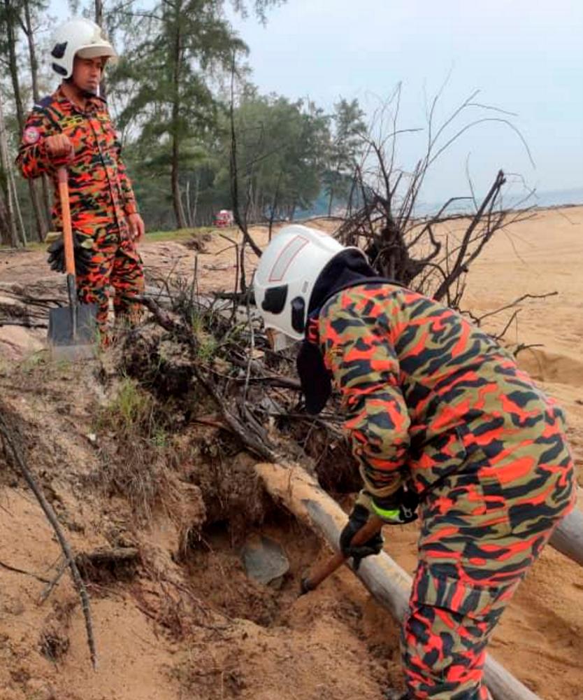 Kerteh Fire and Rescue Station personnel rescue a turtle that was trapped under a pile of fallen trees at Pantai Cakar Hutan, Kampung Labohan, Kerteh this morning. - Bernama