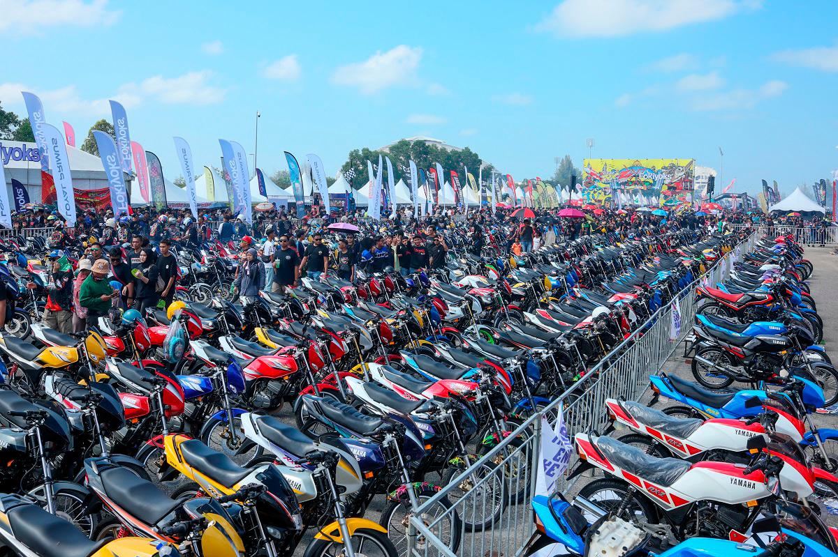 - BERNAMApix
