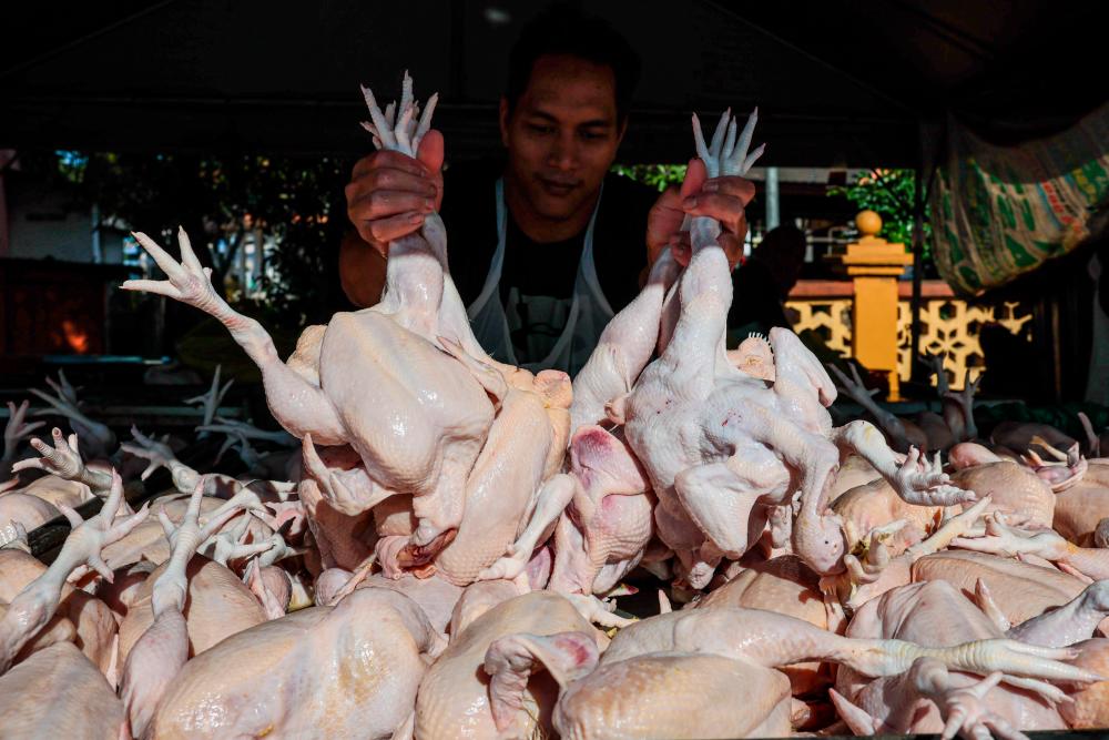 Tamat Subsidi Ayam: Kerajaan Tingkat Inisiatif, Kebajikan Rakyat Dengan ...