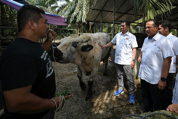 Economic Affairs Minister Datuk Seri Mohamed Azmin Ali (two, left) listening to a sado cattle farm owner Mustapah@Harun(left) at Kuala Telemong, Kuala Terengganu today.