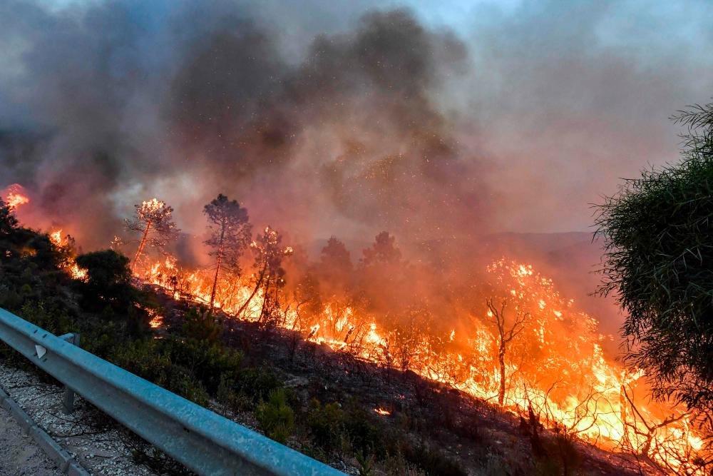 A forest fire rages near the town of Melloula in northwestern Tunisia close to the border with Algeria on July 24, 2023. AFPPIX