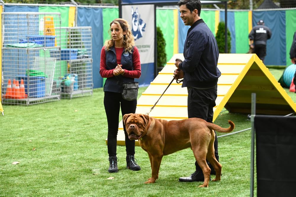 $!The cast of Turner and Hooch sing praises about their animal costars