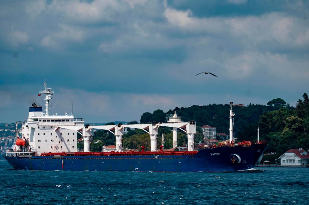 Sierra Leone-flagged cargo vessel Razoni sails along the Bosphorus Strait past Istanbul on August 3, 2022, after being officially inspected/AFPPix