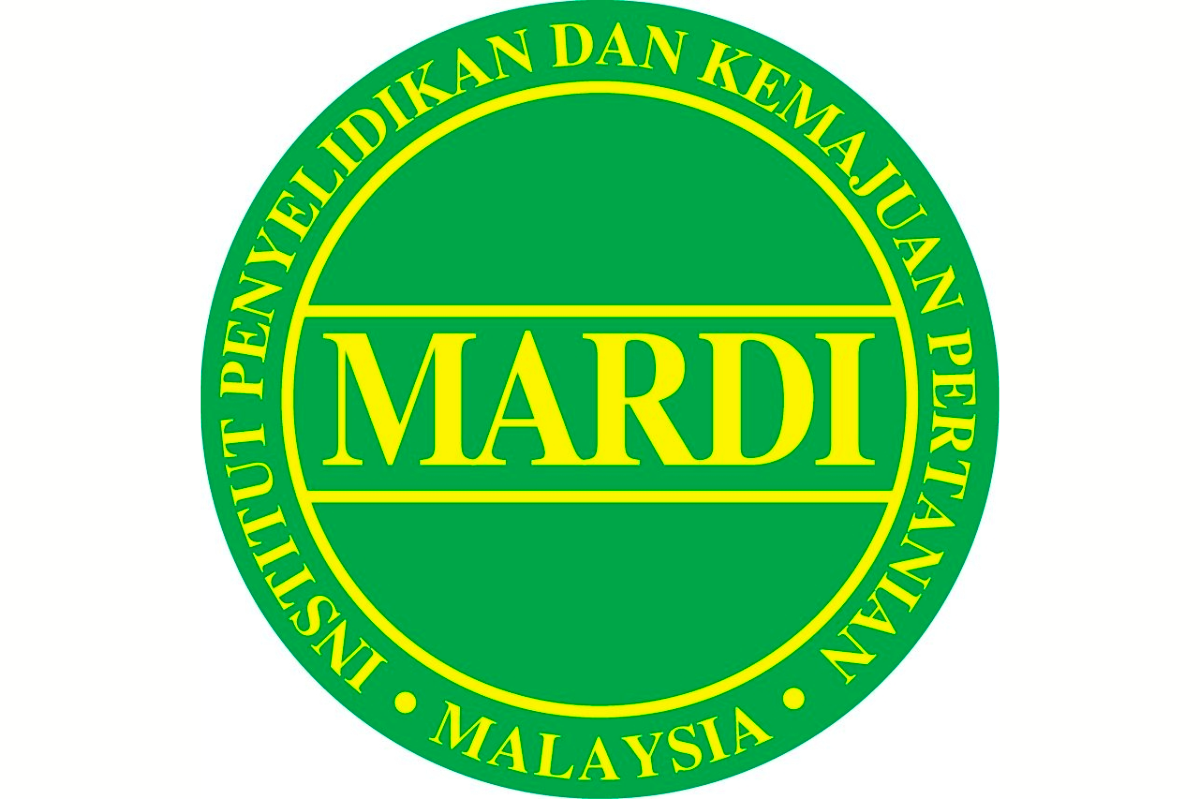 MARDI - FACEBOOKpix