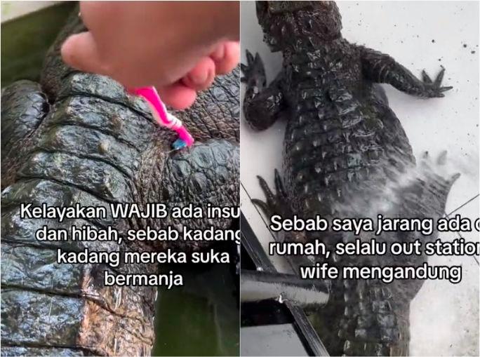 Credit - @khairuljohari27/TikTok