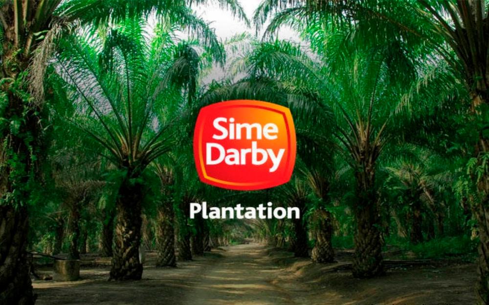 Sime Darby Plantation FY23 net profit slips to RM1.86 billion