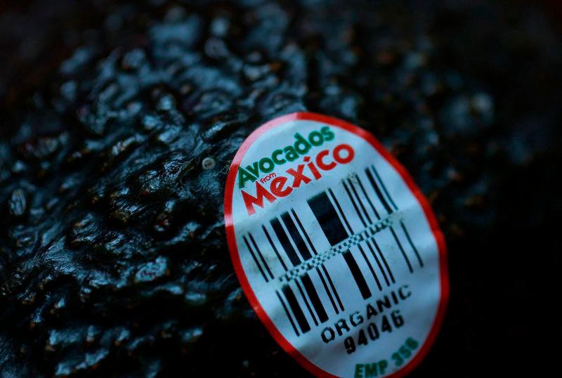 For representational purpose - an avocado from Mexico is displayed in San Anselmo, California. REUTERS PIX