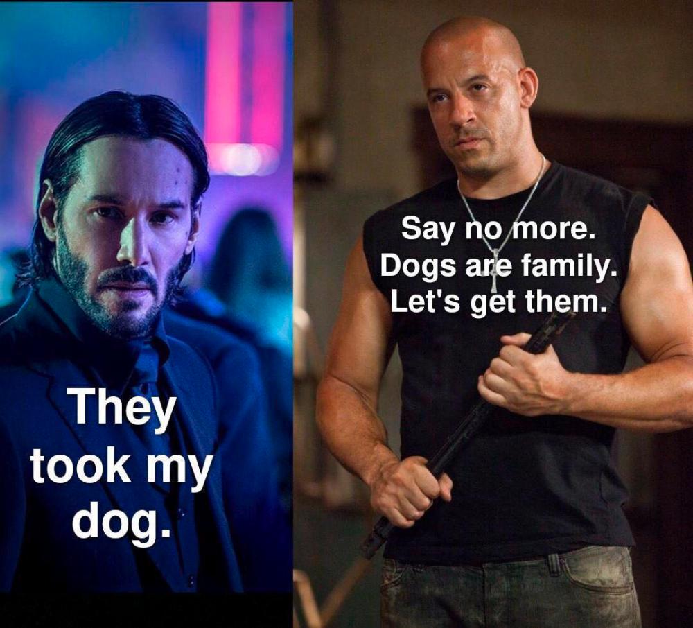 $!Fast and Furious ‘Family’ memes take over social media