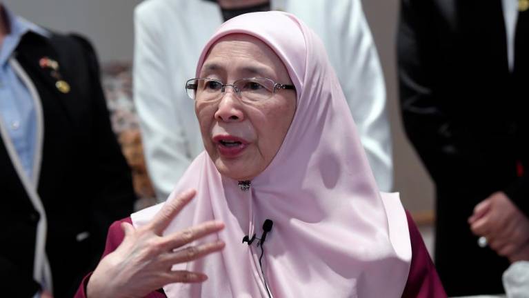 Govt not informed of UM volunteers tasked with attending to students from China: Wan Azizah