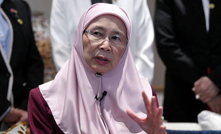 Focus now on economy, Covid-19, not power transition: Wan Azizah