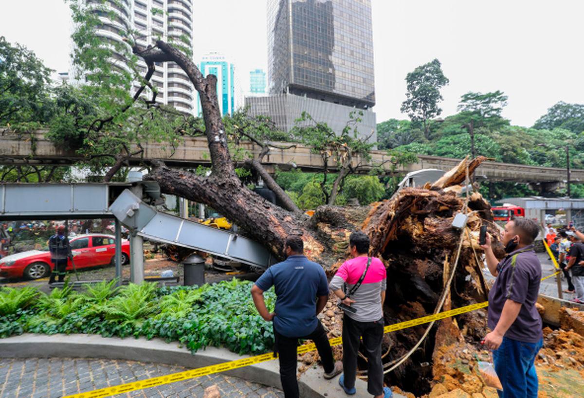 Pix for representational purpose only - Amirul Syafiq/theSun