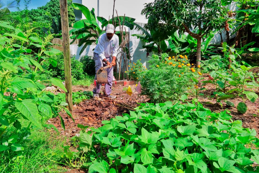 Rais said empowering smallholder farmers to directly benefit from the produce of their land on a national scale would boost national food security. – SUNPIX