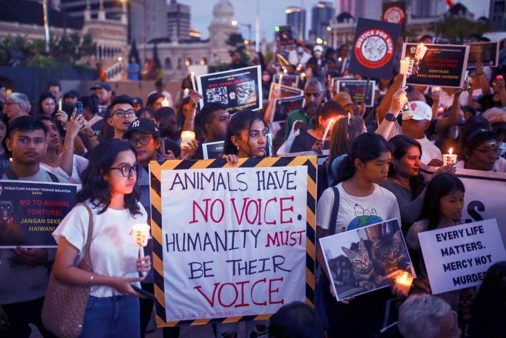 The suggested reforms include amendments to laws, educating the public and stricter regulations on breeders. – Adam Amir Hamzah/THESUN