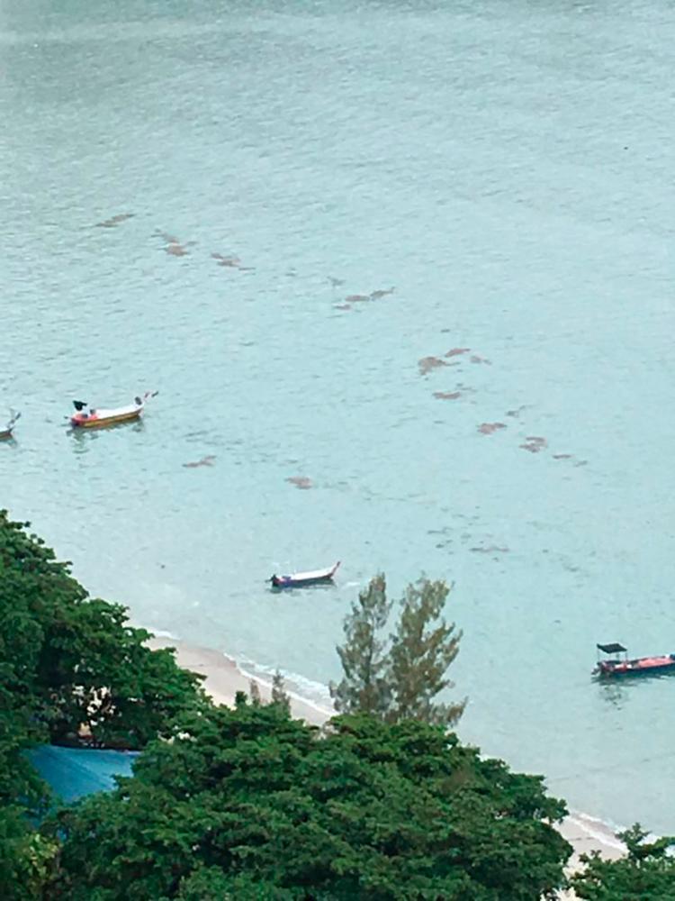 Apparent ‘red tide’ sighted in waters off Penang