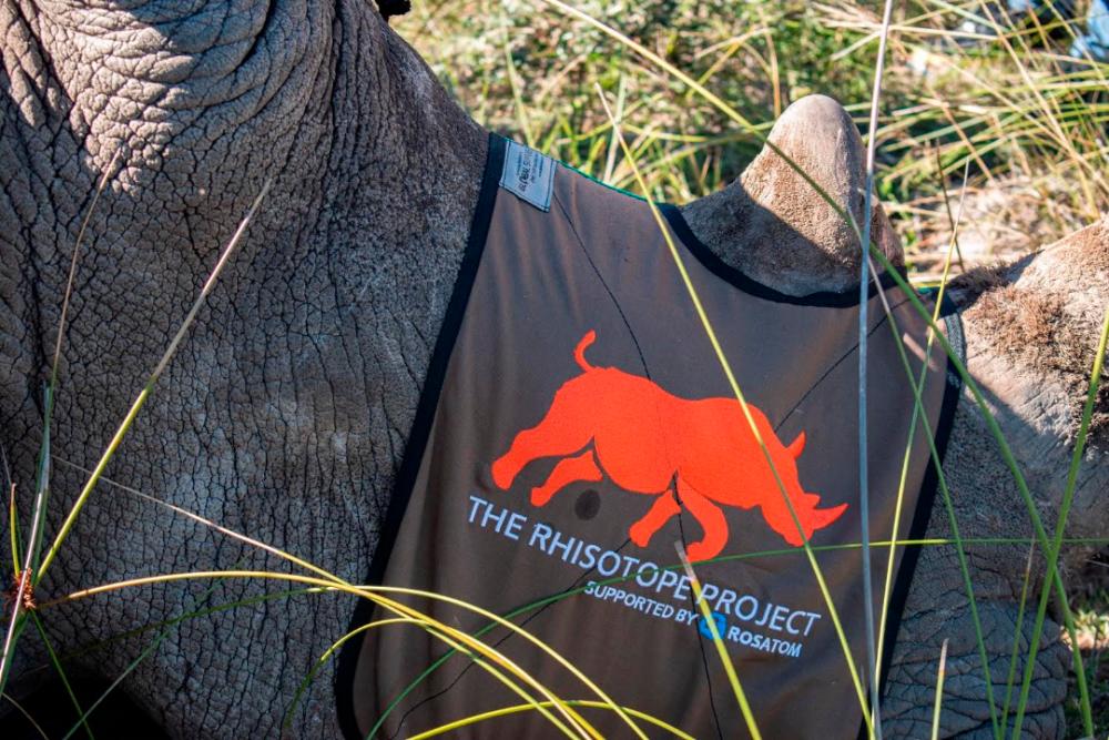 Rhisotope project by Rosatom is to help prevent poaching. - Photo by Rosatom