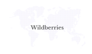 Wildberries to More Than Double Warehouse Capacity in 2025