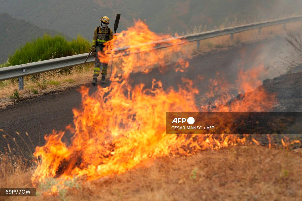 Forest firefighters fight a wildfire in Castrillo de Cabrera, northwestern Spain, on August 16, 2025. As Spain enters its third week of heatwave alerts, firefighters continue to battle blazes in the northwest and west of the country, with army units deployed to help contain the blazes. - Cesar Manso / AFP