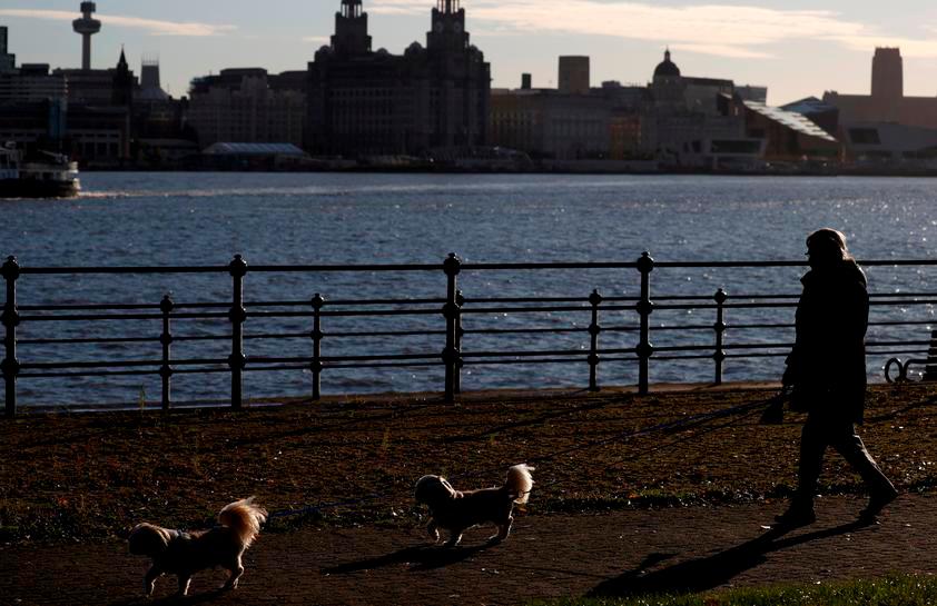 A woman walks her dogs amid the outbreak of the coronavirus disease (Covid-19), in Liverpool, Britain October 13, 2020. — Reuters pic