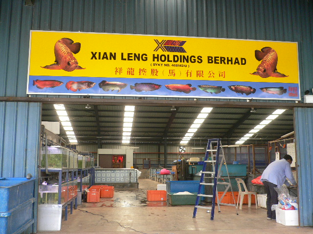 WEBSITE PIX