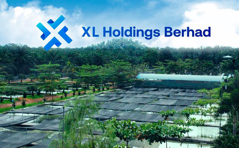 XL Holdings Bhd expects to further capitalise on its food and crop segments, ramp up seaweed business contributions, and strengthen its operational efficiency.