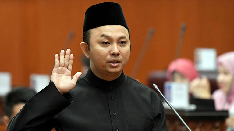 PKR Senator urges party to focus on reforms instead of internal strife