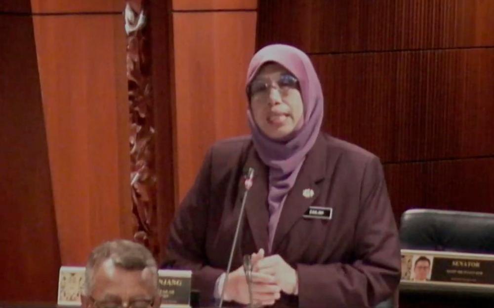 Deputy Women, Family and Community Development Minister Datuk Siti Zailah Mohd Yusoff. — Bernama