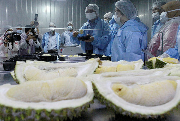 Agriculture and Agro-based Industries Minister Datuk Salahuddin Ayub visits a durian export facility at JL Food Industries in Rawang on March 13, 2019. — Sunpix by Zulkifli Ersal