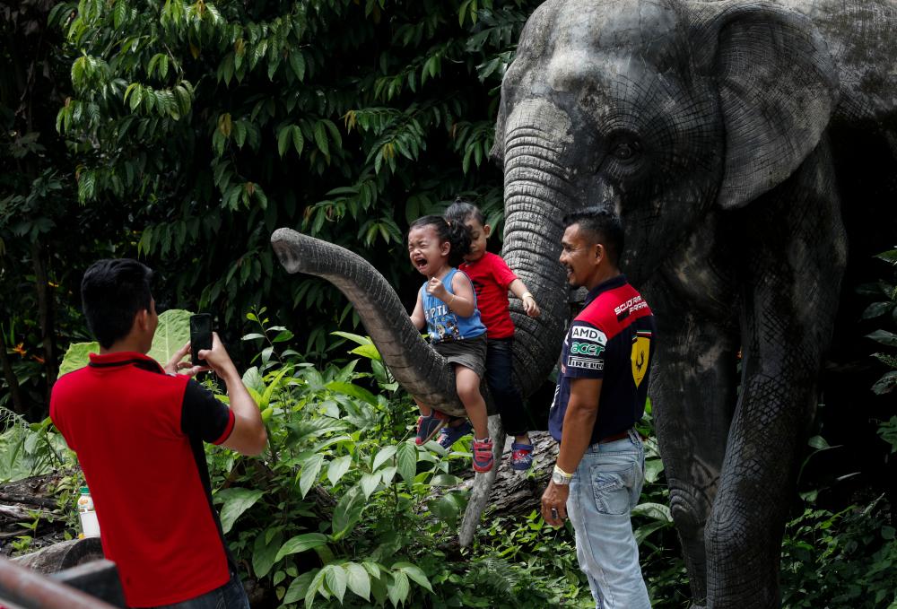 People take pictures with an elephant statue at Zoo Negara in Kuala Lumpur on June 27, 2017. — Sunpix by Asyraf Rasid