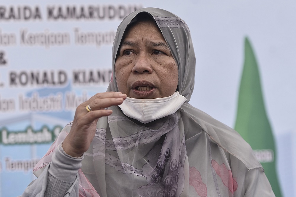 Zuraida under fire over RM8.6m allocation for NGO