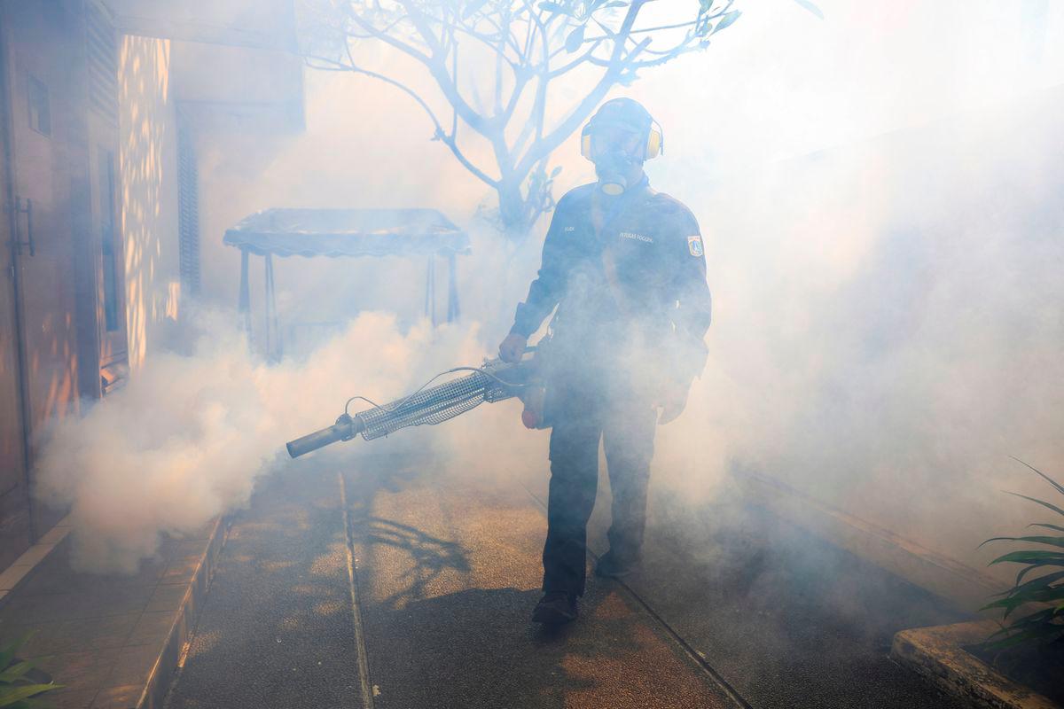 Dengue cases surge in Bangladesh with 20,000 infections and 79 deaths