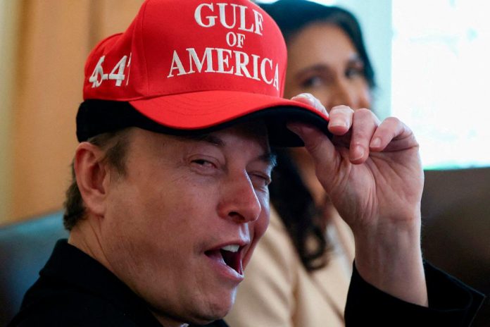 Investment firm Azoria postpones Tesla ETF after Musk plans political party Investment firm Azoria postpones Tesla ETF after Musk plans political party