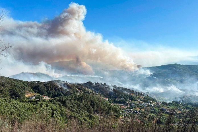 Portugal wildfires rage as 1,500 firefighters battle blazes