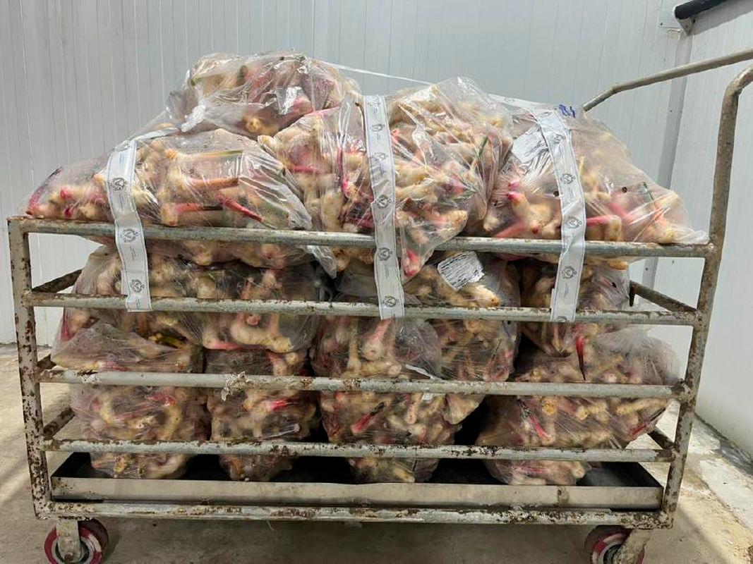 200kg Galangal confiscated at Bukit Kayu Hitam border