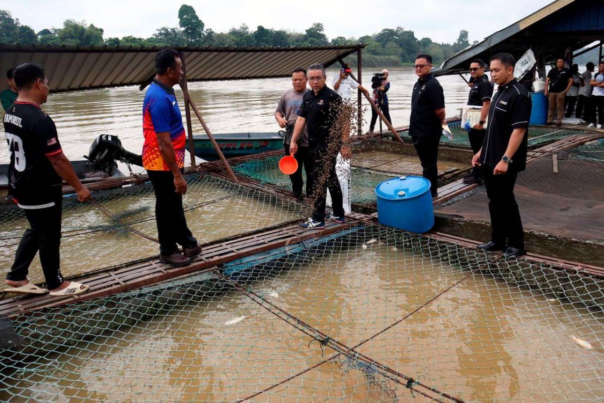 70% of Malaysian army veterans choose entrepreneurship after retirement 70% of Malaysian army veterans choose entrepreneurship after retirement