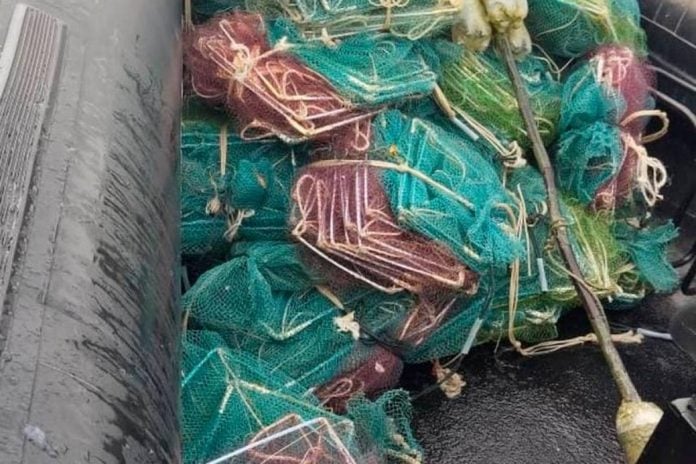 APMM tahan kru bot fiber, rampas 48 bubu naga