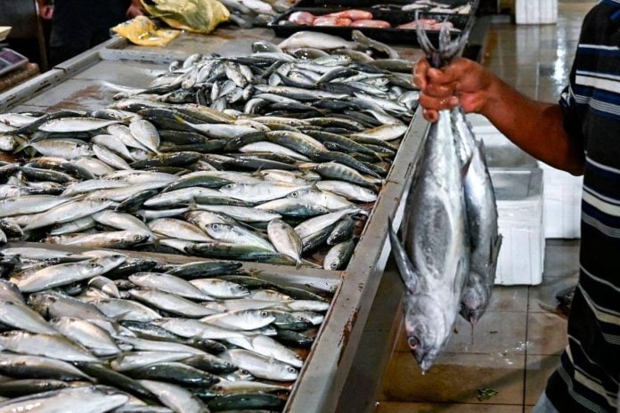 Bekalan ikan cukup sepanjang musim tengkujuh, harga stabil - LKIM