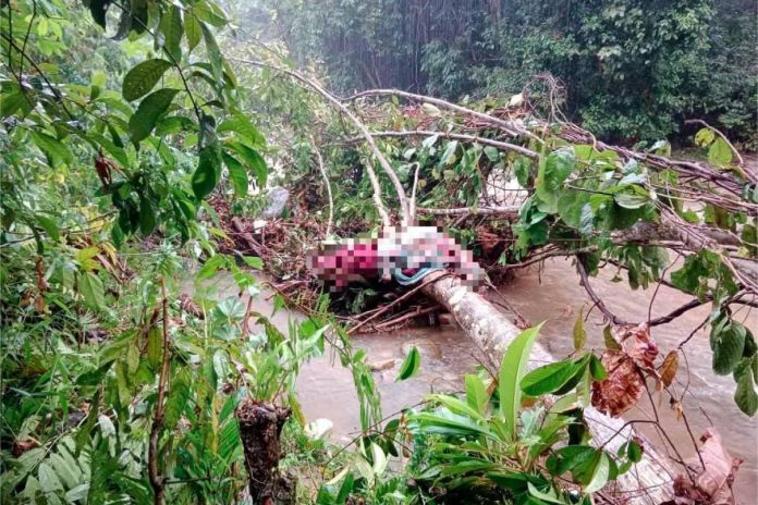 Body found near river in Simpang Pulai classified as murder case Body found near river in Simpang Pulai classified as murder case