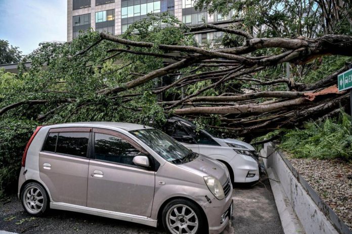 Bomba terima 16 panggilan pokok tumbang sekitar Kuala Lumpur