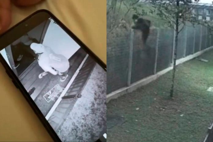 Break-in attempt in gated Sungai Buloh area sparks concern Break-in attempt in gated Sungai Buloh area sparks concern